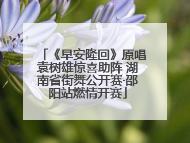 《早安隆回》原唱袁树雄惊喜助阵 湖南省街舞公开赛·邵阳站燃情开赛