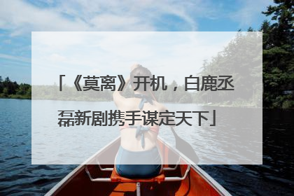 《莫离》开机，白鹿丞磊新剧携手谋定天下