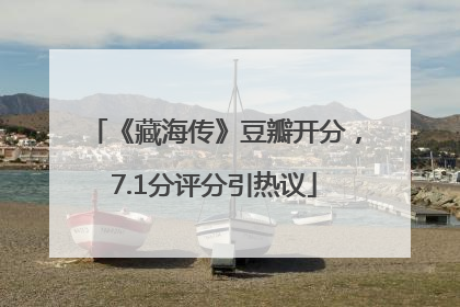 《藏海传》豆瓣开分，7.1分评分引热议