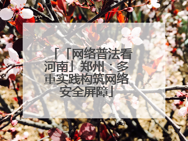 「网络普法看河南」郑州：多重实践构筑网络安全屏障