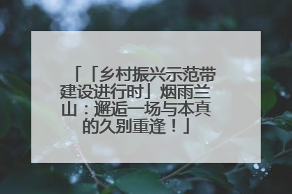 「乡村振兴示范带建设进行时」烟雨兰山：邂逅一场与本真的久别重逢！