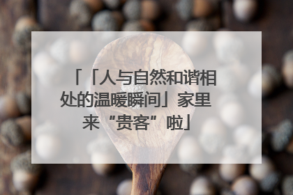 「人与自然和谐相处的温暖瞬间」家里来“贵客”啦