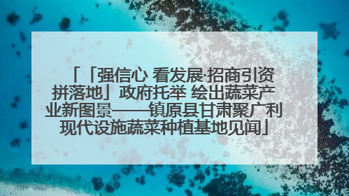 「强信心 看发展·招商引资拼落地」政府托举 绘出蔬菜产业新图景——镇原县甘肃聚广利现代设施蔬菜种植基地见闻