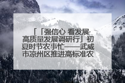 「强信心 看发展·高质量发展调研行」初夏时节农事忙——武威市凉州区推进高标准农田建设见闻