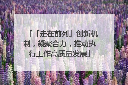 「走在前列」创新机制，凝聚合力，推动执行工作高质量发展