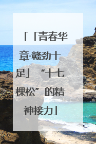 「青春华章·赣劲十足」“十七棵松”的精神接力