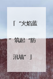“火焰蓝”筑起“防汛墙”