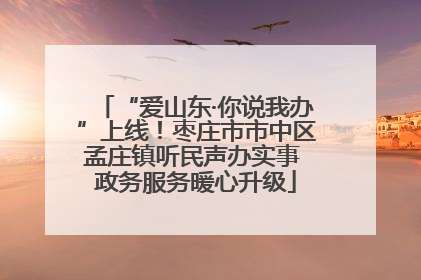 “爱山东·你说我办”上线！枣庄市市中区孟庄镇听民声办实事 政务服务暖心升级