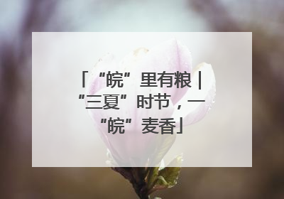 “皖”里有粮｜“三夏”时节，一“皖”麦香