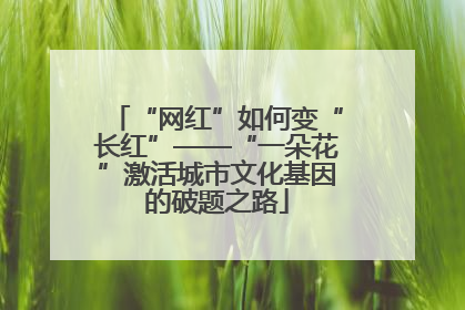 “网红”如何变“长红”——“一朵花”激活城市文化基因的破题之路