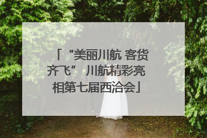“美丽川航 客货齐飞” 川航精彩亮相第七届西洽会