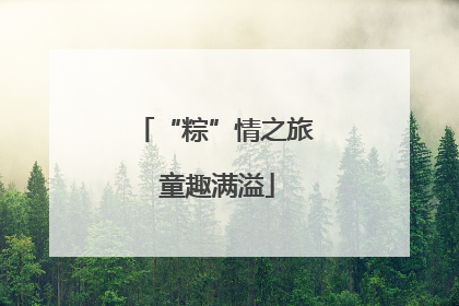 “粽”情之旅 童趣满溢