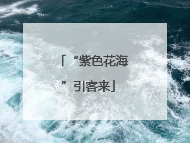 “紫色花海”引客来