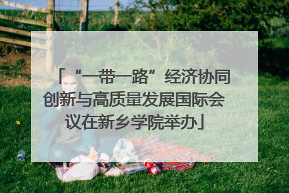 “一带一路”经济协同创新与高质量发展国际会议在新乡学院举办