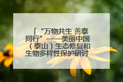 “万物共生 善泰同行”——美丽中国（泰山）生态修复和生物多样性保护研讨会成功举办