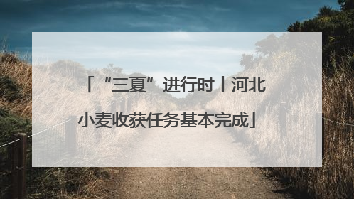 “三夏”进行时丨河北小麦收获任务基本完成