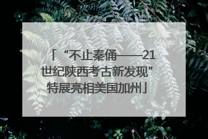 “不止秦俑——21世纪陕西考古新发现”特展亮相美国加州
