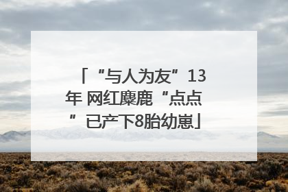 “与人为友”13年 网红麋鹿“点点”已产下8胎幼崽