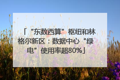 “东数西算”枢纽和林格尔新区：数据中心“绿电”使用率超80%