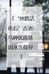 “丝路活化石”古老马种优质基因永久保存