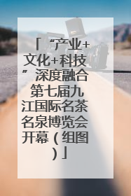 “产业+文化+科技”深度融合 第七届九江国际名茶名泉博览会开幕（组图）