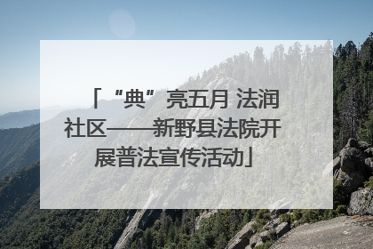 “典”亮五月 法润社区——新野县法院开展普法宣传活动