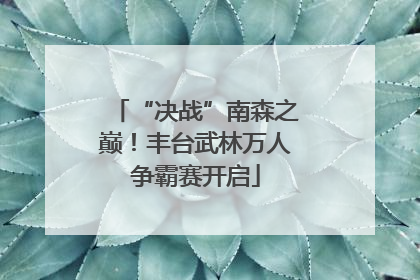 “决战”南森之巅！丰台武林万人争霸赛开启
