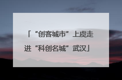 “创客城市”上虞走进“科创名城”武汉
