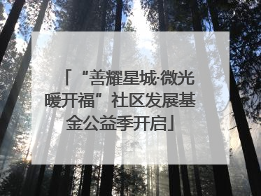“善耀星城·微光暖开福”社区发展基金公益季开启