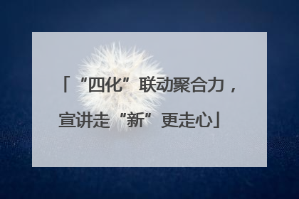 “四化”联动聚合力，宣讲走“新”更走心