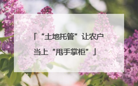 “土地托管”让农户当上“甩手掌柜”