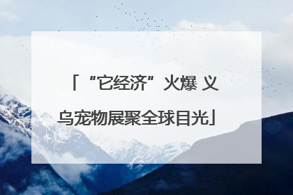 “它经济”火爆 义乌宠物展聚全球目光