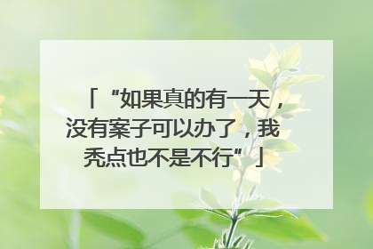 “如果真的有一天，没有案子可以办了，我秃点也不是不行”