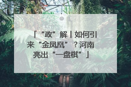 “政”解丨如何引来“金凤凰”？河南亮出“一盘棋”