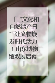 “文化和自然遗产日”让文物焕发时代活力！山东博物馆双展启幕