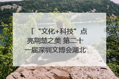 “文化+科技”点亮荆楚之美 第二十一届深圳文博会湖北馆抢“鲜”看