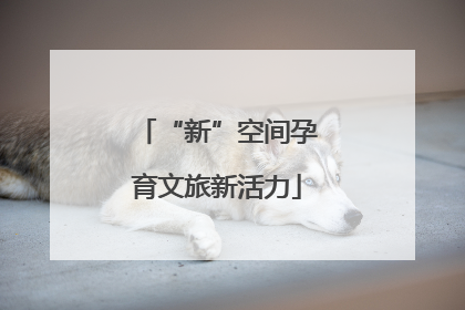 “新”空间孕育文旅新活力