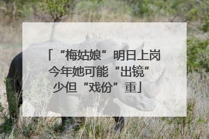 “梅姑娘”明日上岗 今年她可能“出镜”少但“戏份”重