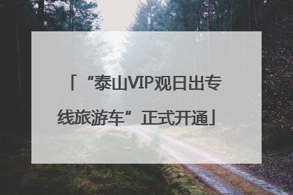 “泰山VIP观日出专线旅游车”正式开通