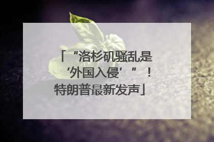 “洛杉矶骚乱是‘外国入侵’”！特朗普最新发声