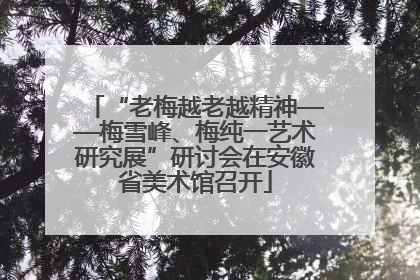 “老梅越老越精神——梅雪峰、梅纯一艺术研究展”研讨会在安徽省美术馆召开