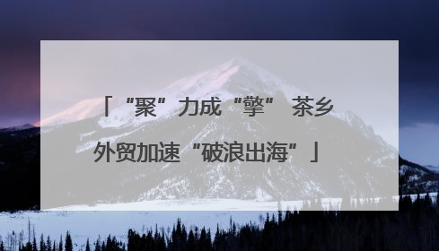 “聚”力成“擎” 茶乡外贸加速“破浪出海”