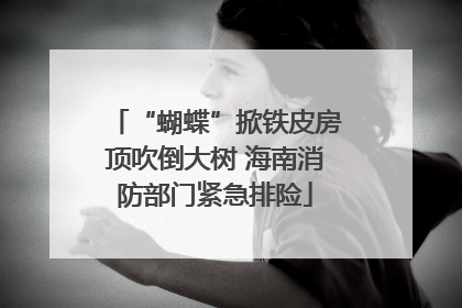 “蝴蝶”掀铁皮房顶吹倒大树 海南消防部门紧急排险