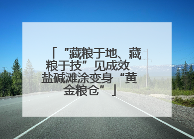 “藏粮于地、藏粮于技”见成效 盐碱滩涂变身“黄金粮仓”