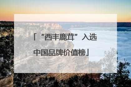 “西丰鹿茸”入选中国品牌价值榜