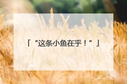 “这条小鱼在乎！”