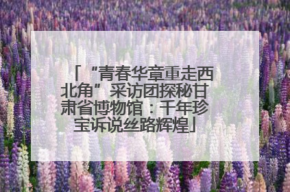 “青春华章重走西北角”采访团探秘甘肃省博物馆：千年珍宝诉说丝路辉煌