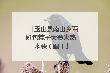 玉山县南山乡百姓包粽子大赛火热来袭（图）