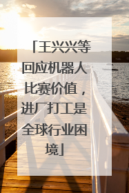 王兴兴等回应机器人比赛价值，进厂打工是全球行业困境