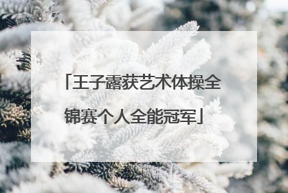 王子露获艺术体操全锦赛个人全能冠军
